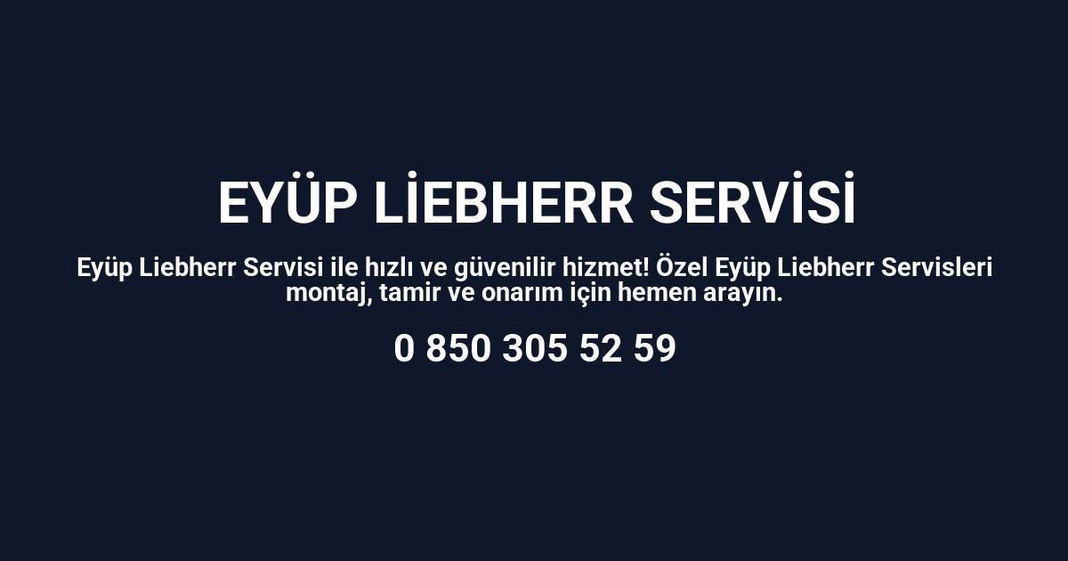 Eyüp Liebherr Servisi